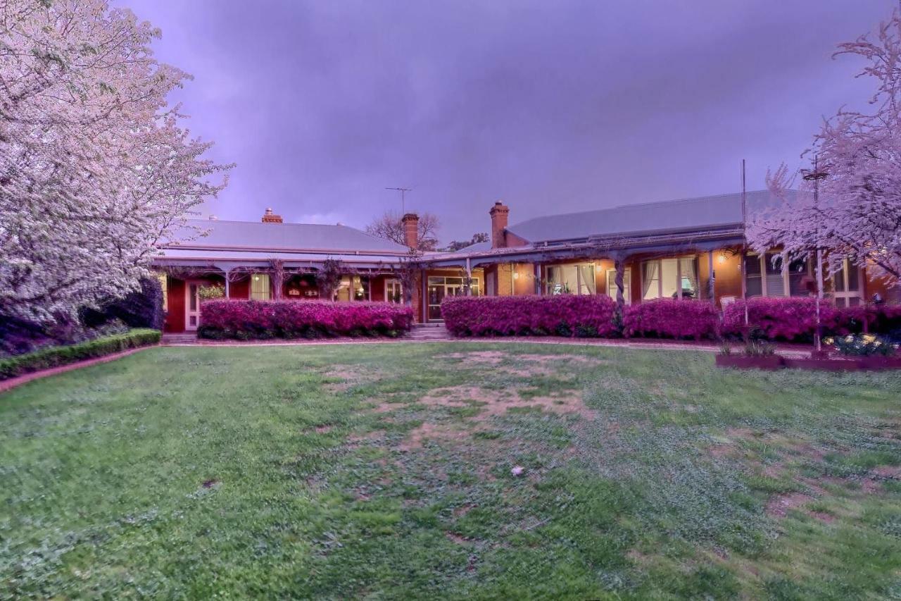 Twelve On Albert Beechworth Luaran gambar